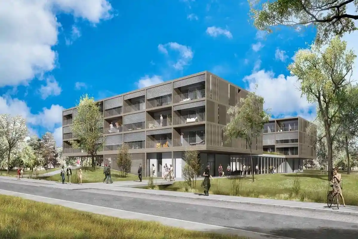 DAMECOSI Haguenau 0