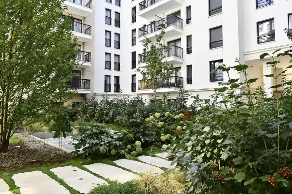 NOHÉE Suresnes 0