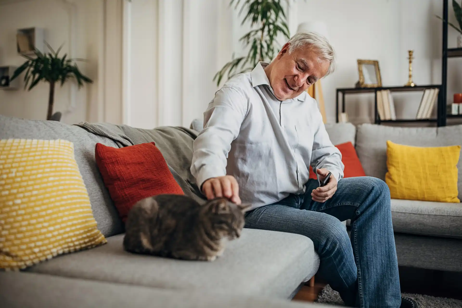 Peut-on emmener son chien en résidence services ? 0