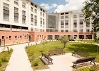 DOMUSVI Nouvelle Orléans 1