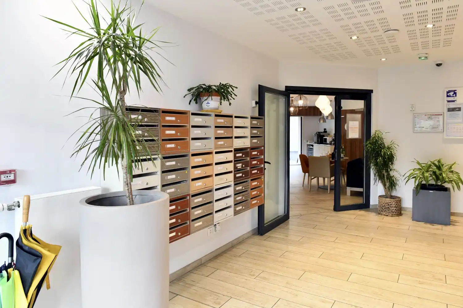 NOHÉE Chambéry 5